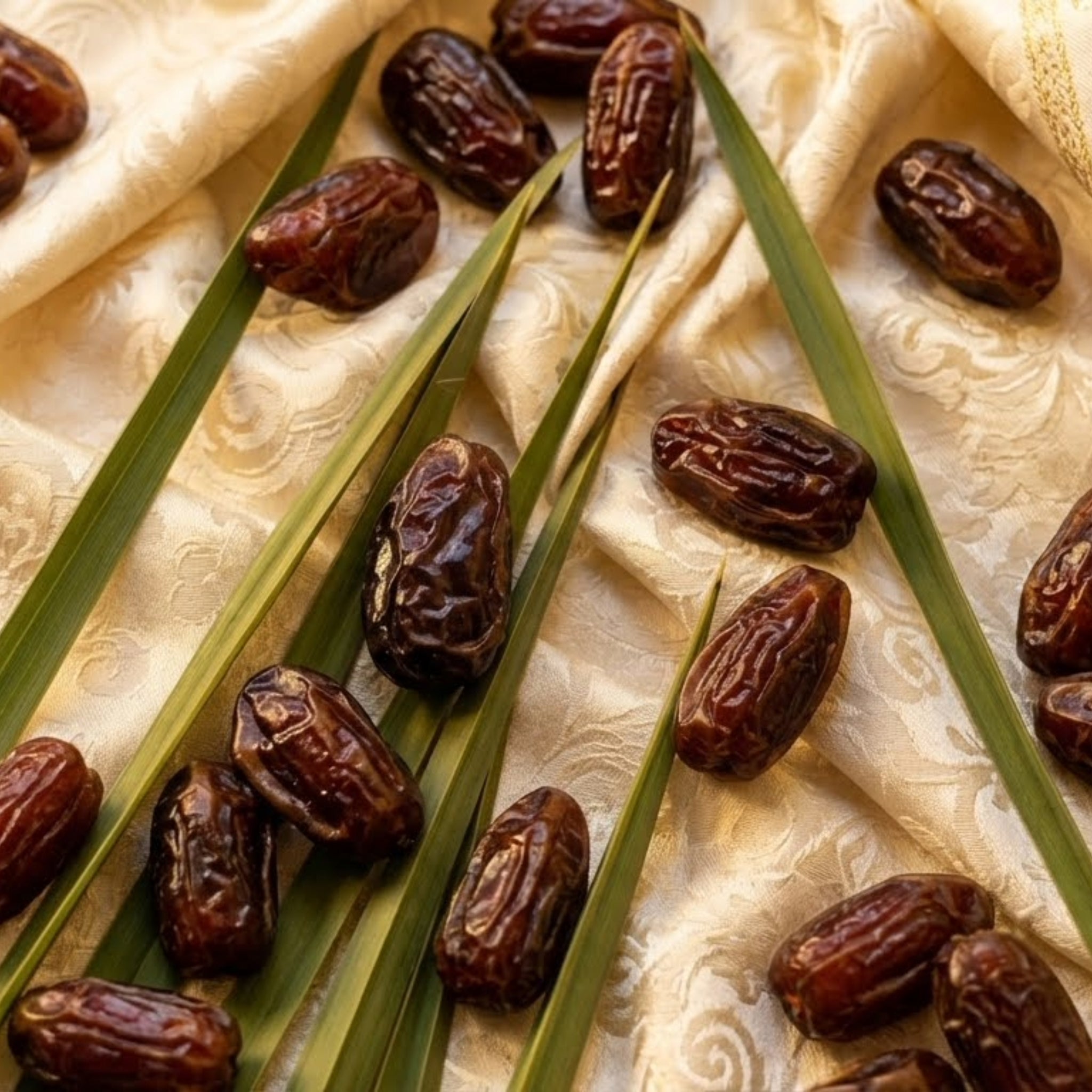 11lbs Large Mid-Juicy Medjool Dates